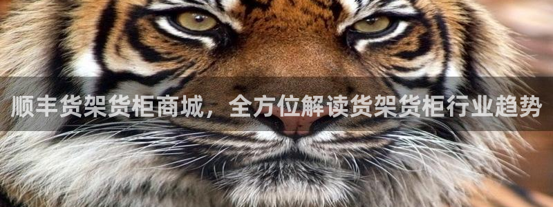 杏运体育怎么样
