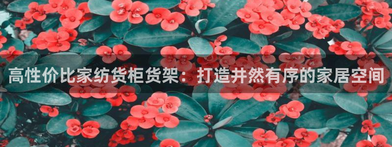 杏运登录