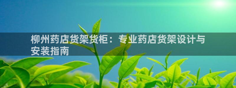 杏运汽车招商