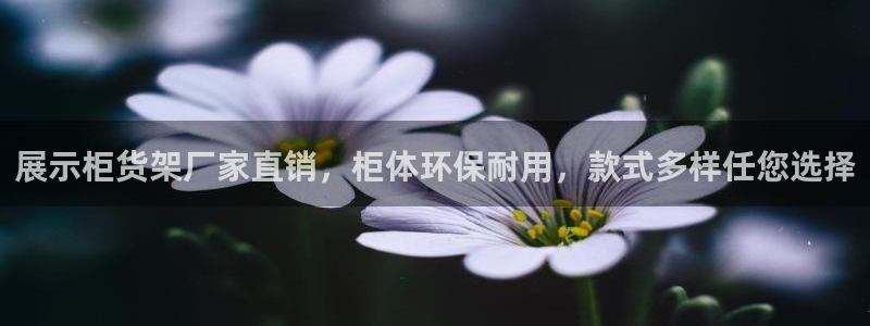 杏运相伴