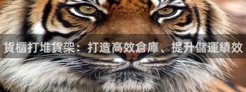 杏运平台招商