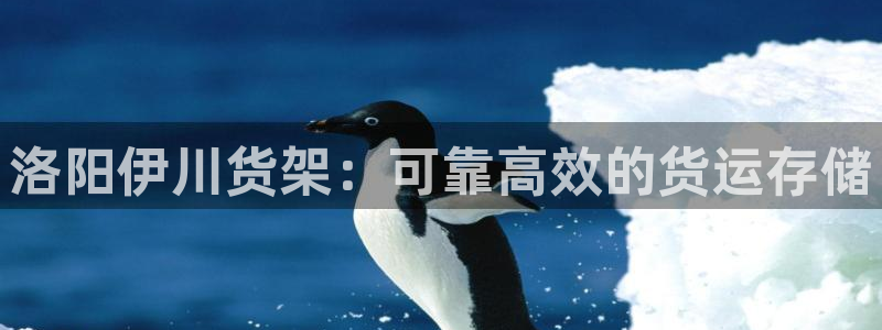 杏运体育登录