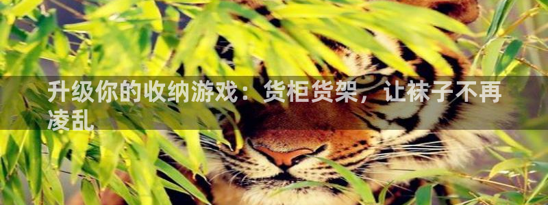 杏运娱乐官网