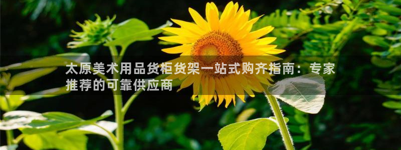 杏运注册账号