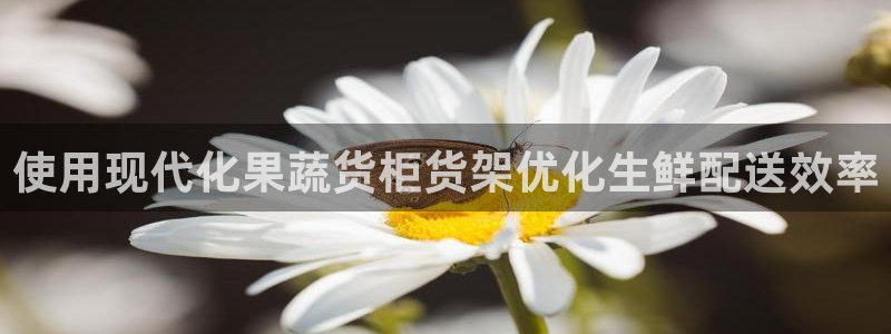 杏运汽车招商