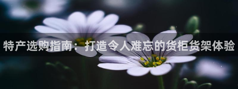 杏运平台登陆