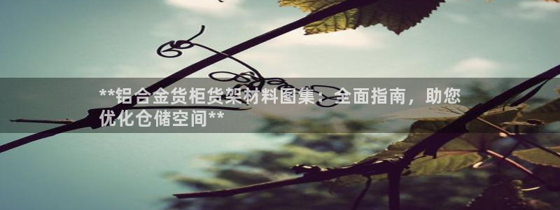 杏运体育平台正规吗安全吗可信吗