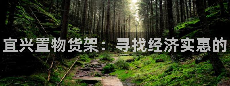 杏运新能源