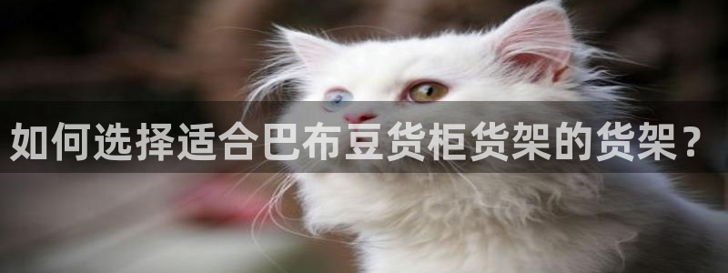 杏运注册登录