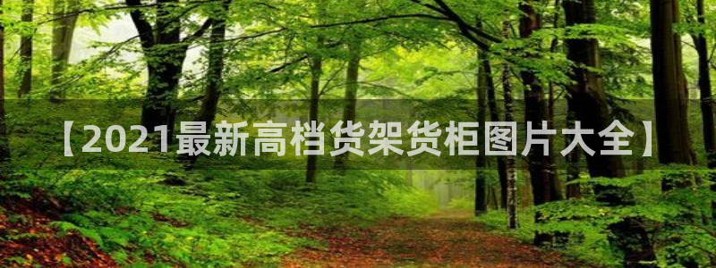 杏运相伴
