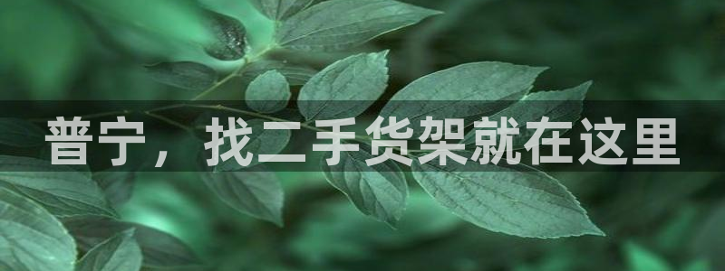 杏运代理