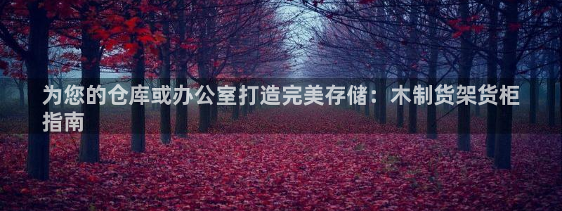 杏运汽车