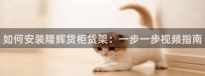 杏运体育登录：如何安装隆辉货柜货架：一步