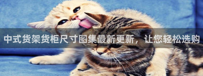 杏运代理