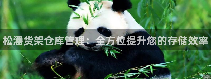 杏运登录