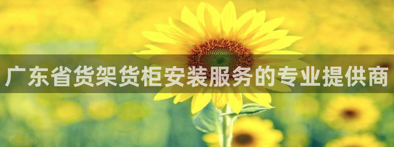 杏运平台代理